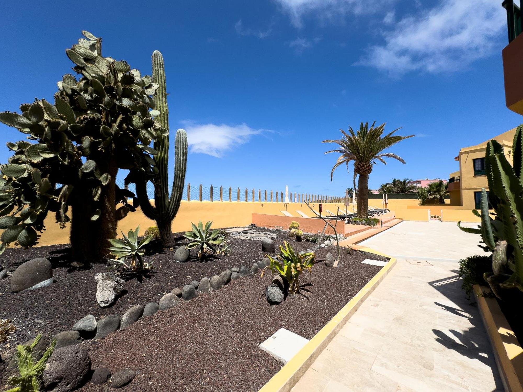 Complejo Las Tres Palmeras Valle Gran Rey Exterior photo
